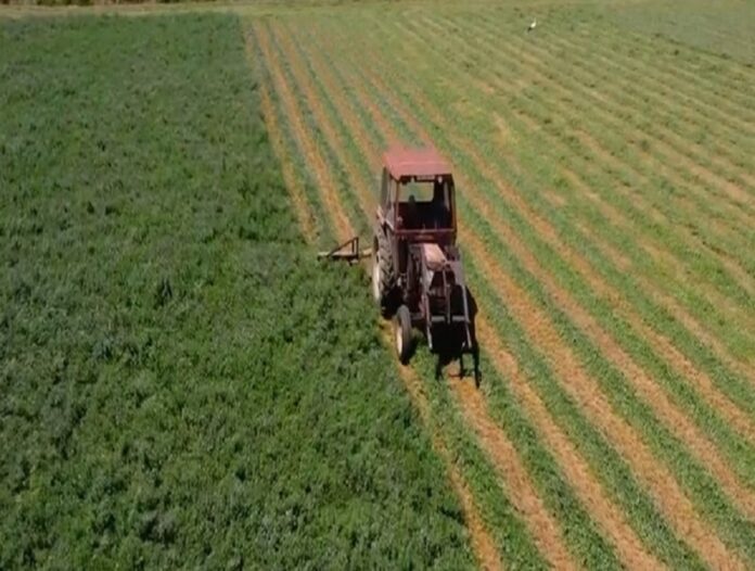AGRO.l (1)
