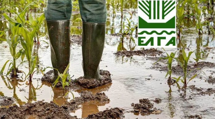 Δηλώσεις Ζημιάς ΕΛΓΑ 150623-2